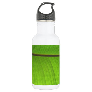 Banana Leaf Close-Up 532 Ml Water Bottle