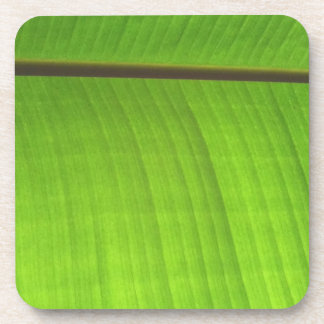 Banana Leaf Close-Up Coaster