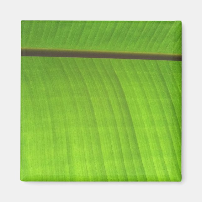 Banana Leaf Close-Up Magnet (Front)