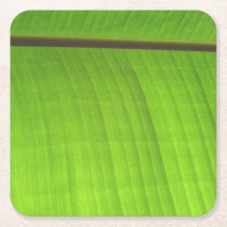 Banana Leaf Close-Up Square Paper Coaster
