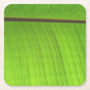 Banana Leaf Close-Up Square Paper Coaster