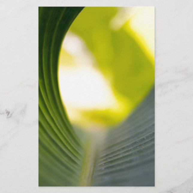 Banana Leaf Stationery (Front)