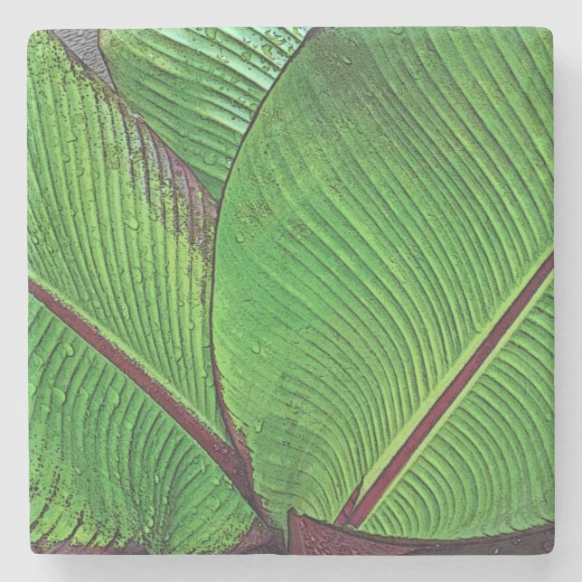 BANANA LEAVES DETAIL STONE COASTER (Front)