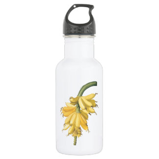 banana(Musa paradisiaca) by Redouté 532 Ml Water Bottle