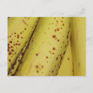 Banana Postcard