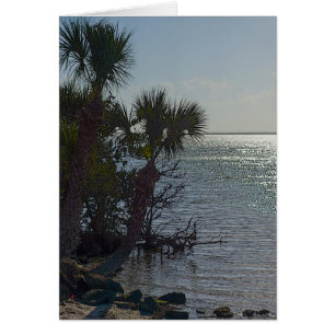 Banana River Palm Trees Painterly