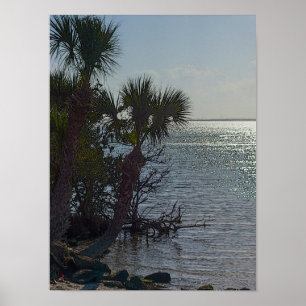 Banana River Palm Trees Painterly Poster