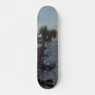 Banana River Palm Trees Painterly Skateboard
