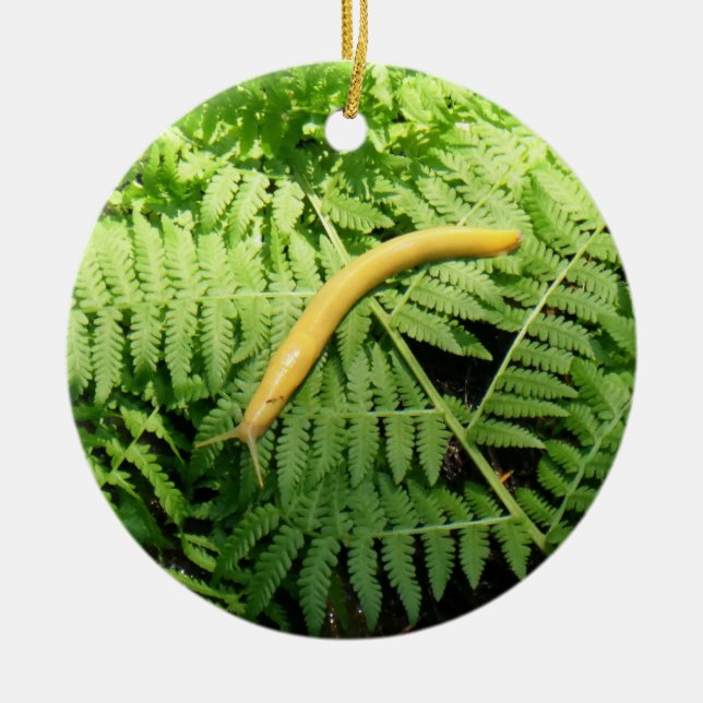 Banana Slug on Ferns I  Ceramic Tree Decoration (Front)