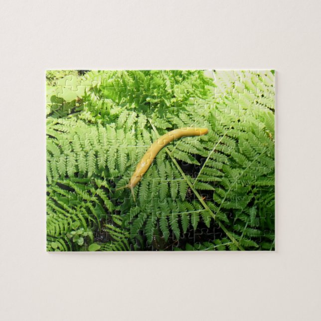 Banana Slug on Ferns I  Jigsaw Puzzle (Horizontal)