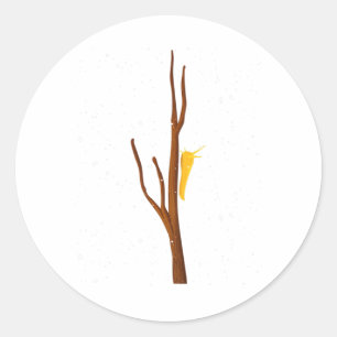 Banana Slug – Spotted Banana Slug Species Climbing Classic Round Sticker