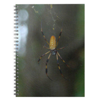Banana Spider Notebook