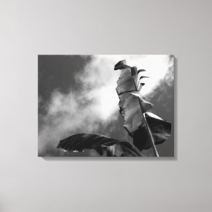 Banana Tree Canvas Print