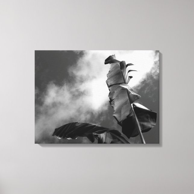 Banana Tree Canvas Print (Front)