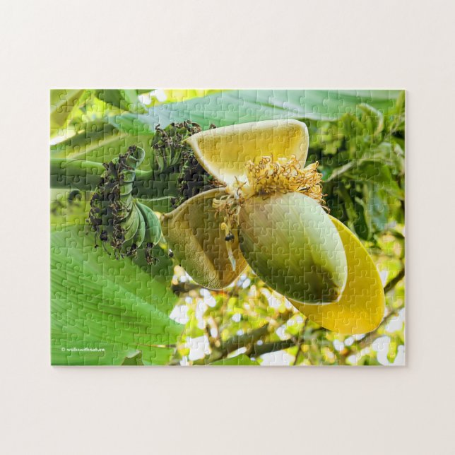 Banana Tree with Banana Fruits Jigsaw Puzzle (Horizontal)