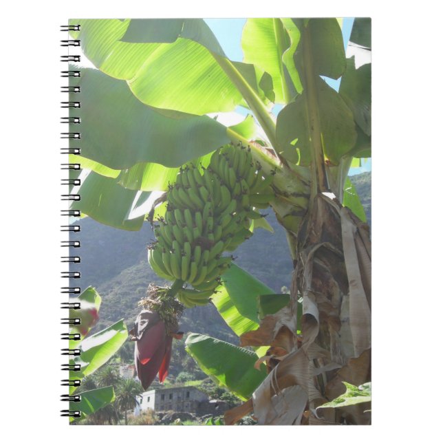 Banana Tree with Flower Notebook (Front)