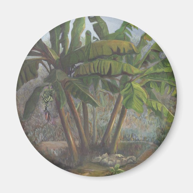 Banana Trees Magnet (Front)