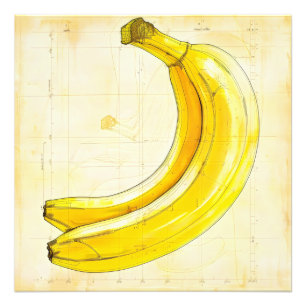 Banana Vintage Sketch Diagram Photo Print