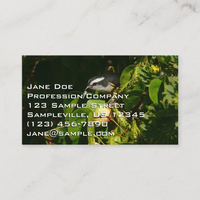 Bananaquit Bird Eating Tropical Photography Business Card (Front)