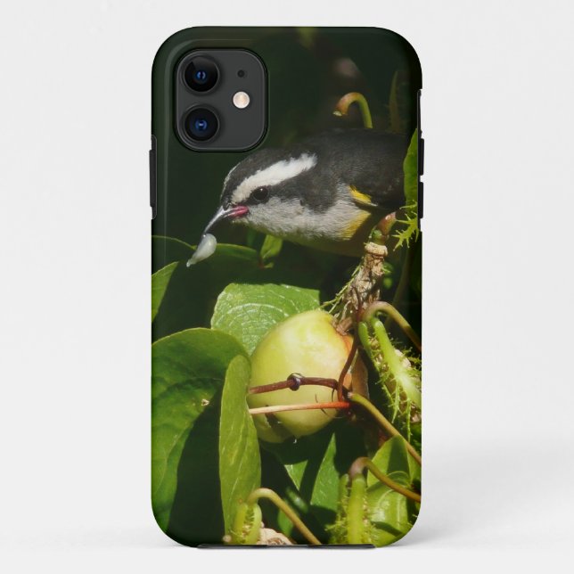 Bananaquit Bird Eating Tropical Photography Case-Mate iPhone Case (Back)