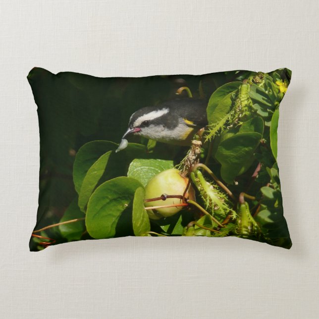 Bananaquit Bird Eating Tropical Photography Decorative Cushion (Front)