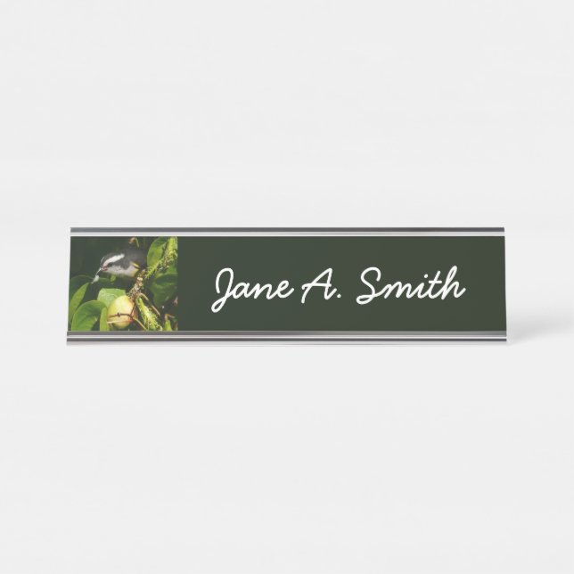 Bananaquit Bird Eating Tropical Photography Desk Name Plate (Front)