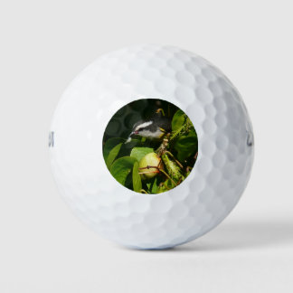 Bananaquit Bird Eating Tropical Photography Golf Balls