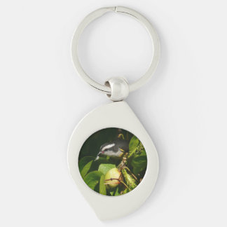Bananaquit Bird Eating Tropical Photography Key Ring
