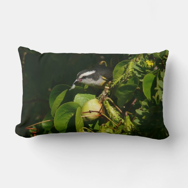 Bananaquit Bird Eating Tropical Photography Lumbar Cushion (Front)