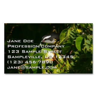 Bananaquit Bird Eating Tropical Photography Magnetic Business Card