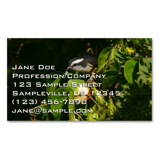 Bananaquit Bird Eating Tropical Photography Magnetic Business Card (Front)