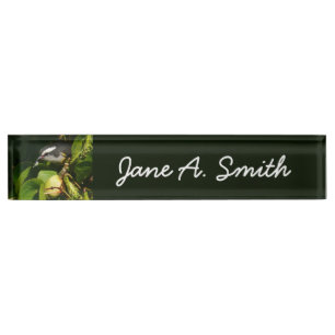 Bananaquit Bird Eating Tropical Photography Nameplate