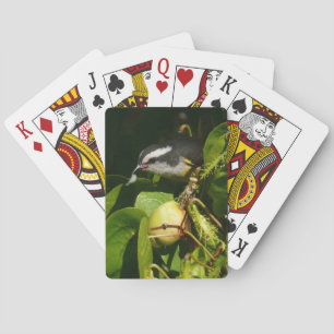 Bananaquit Bird Eating Tropical Photography Playing Cards