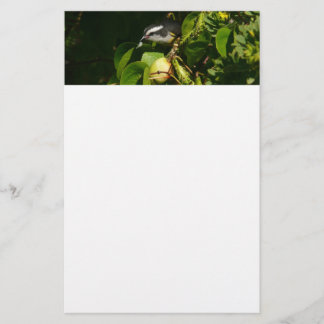 Bananaquit Bird Eating Tropical Photography Stationery