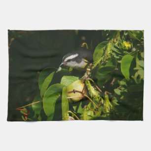 Bananaquit Bird Eating Tropical Photography Tea Towel