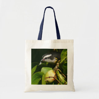 Bananaquit Bird Eating Tropical Photography Tote Bag