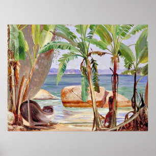 Bananas and Rocks at Paqueta, Brazil, Poster