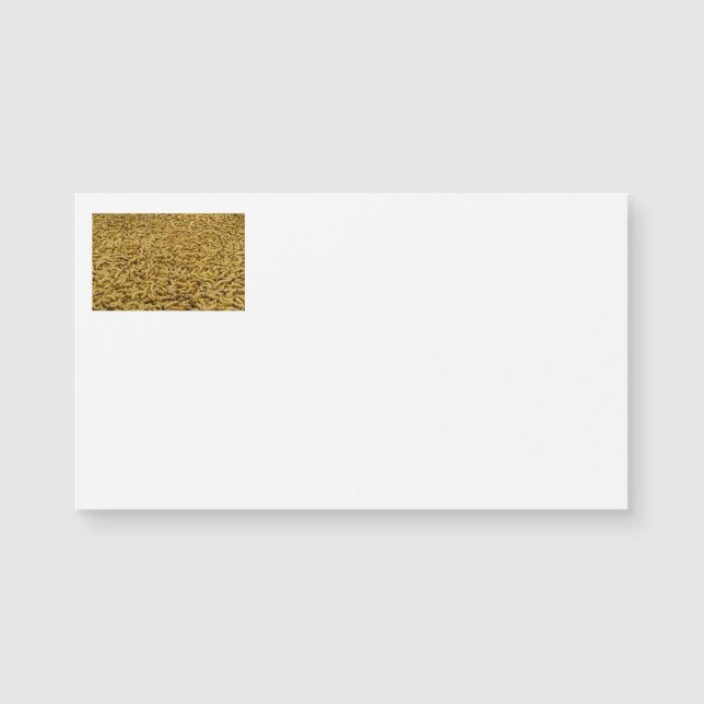 Bananas Business Cards (Front)