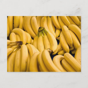 Bananas Postcard