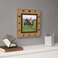 Band Of Appaloosa Horses