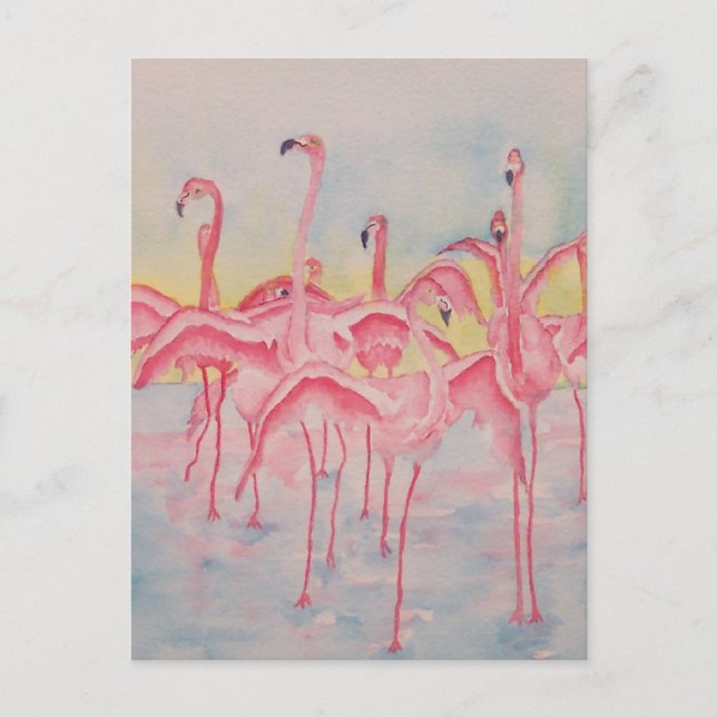 BAND ON THE RUN POSTCARD (Front)