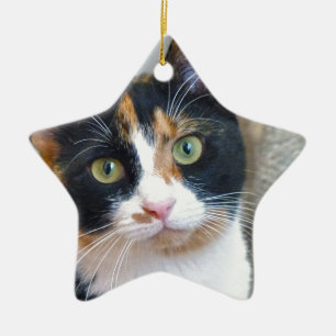 Bandit Ceramic Tree Decoration
