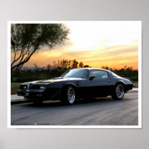 Bandit in the Arizona Sunset Poster