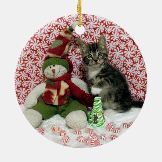Bandit Kitten Cat Rescue Christmas Ceramic Tree Decoration (Back)