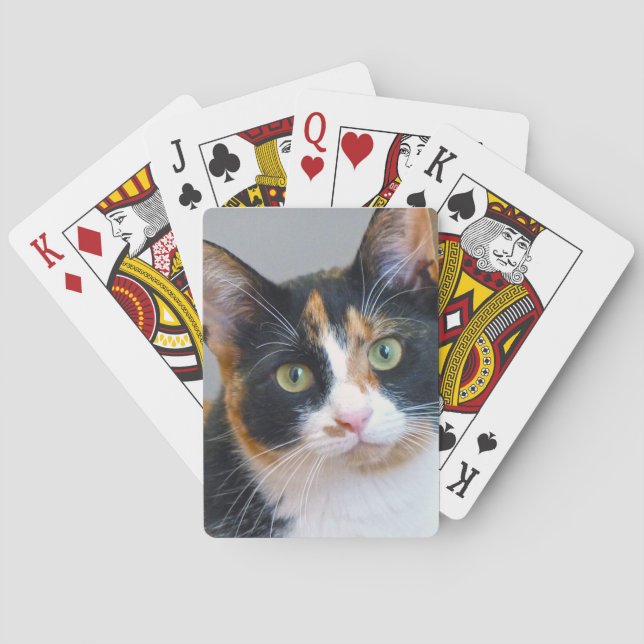 Bandit Playing Cards (Back)