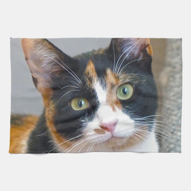 Bandit Tea Towel (Horizontal)