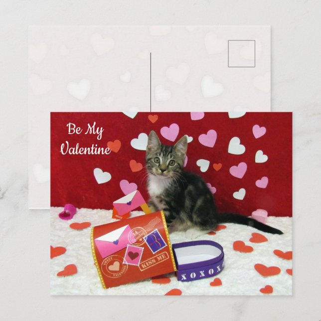 Bandit The Cat's Valentine Mailbox Postcard (Front/Back)