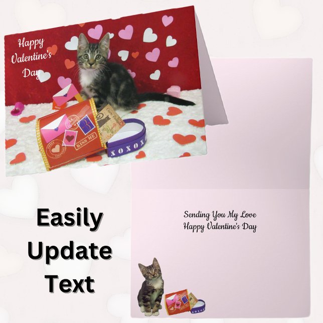 Bandit The Cat's Valentine's Mailbox Greeting Card (Creator Uploaded)