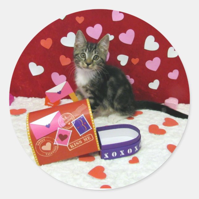 Bandit The Tabby Cat's Valentine's Stickers (Front)