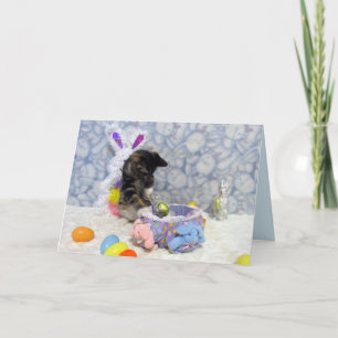 Bandit's Easter Card - Cat / Kitten Pic